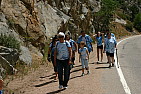 img_0599.jpg