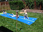 dsc05697.jpg