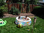 dsc05698.jpg