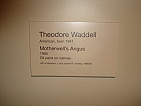 dsc05786.jpg