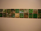 dsc05790.jpg