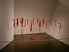 dsc05795.jpg