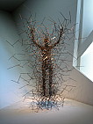 dsc05796.jpg