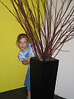 img_4246.jpg