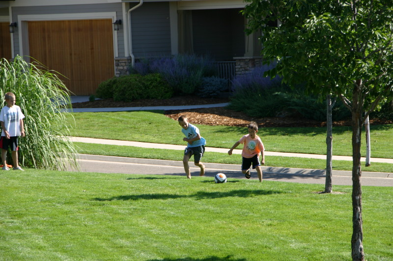 Click on image to go to the next image img_0319.jpg