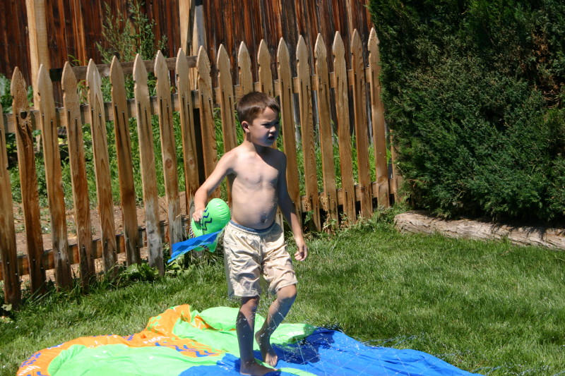 Click on image to go to the next image img_0334.jpg