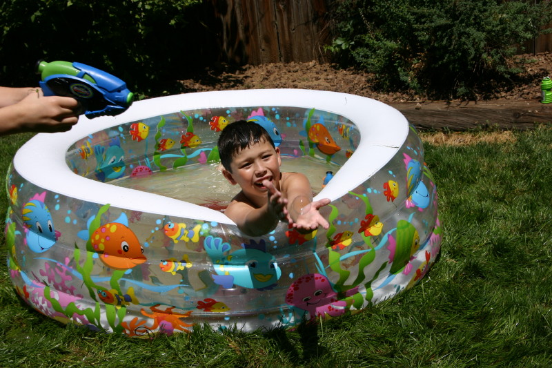 Click on image to go to the next image img_0338.jpg