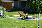 img_0319.jpg