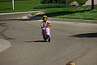 img_0321.jpg