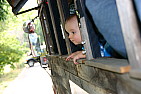 img_0417.jpg