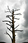img_0513.jpg