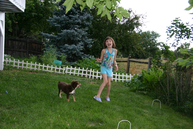 Click on image to go to the next image img_0549.jpg