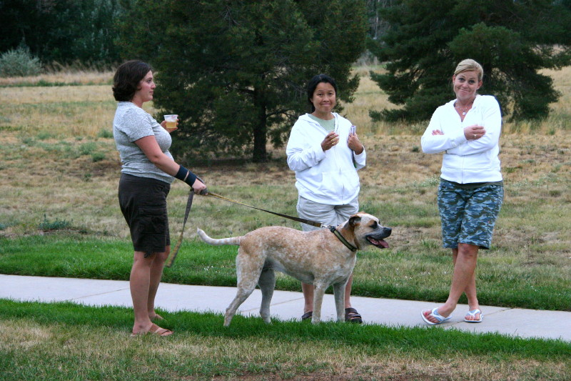 Click on image to go to the next image img_0569.jpg