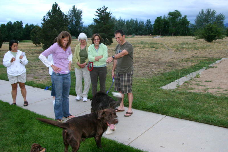 Click on image to go to the next image img_0571.jpg