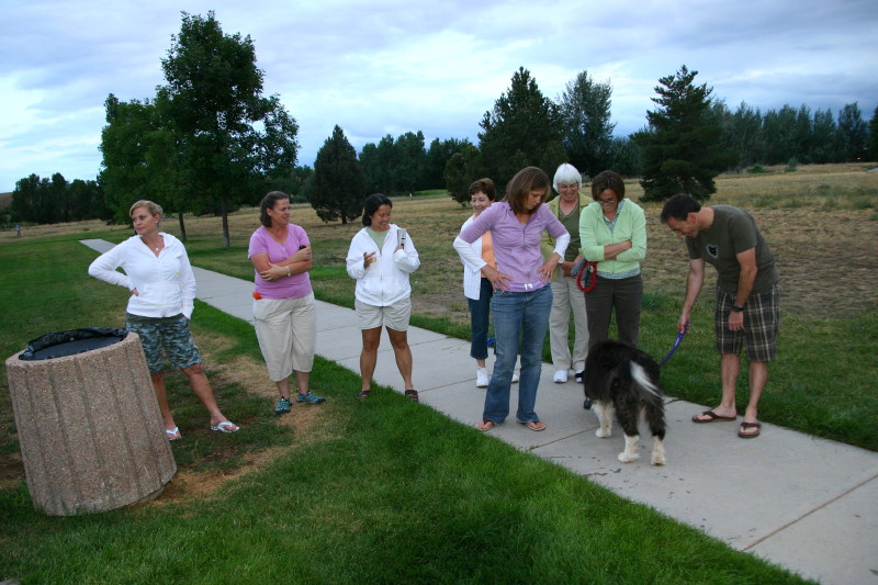Click on image to go to the next image img_0573.jpg