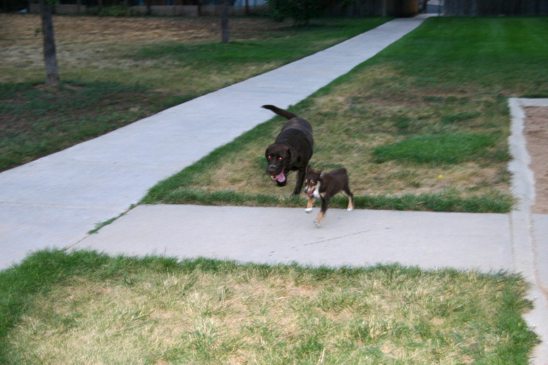 Click on image to go to the next image img_0574.jpg
