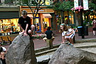 img_0536.jpg