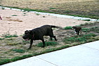 img_0572.jpg