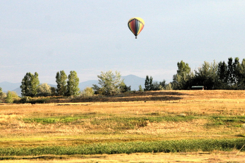 Click on image to go to the next image img_1132.jpg