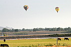 img_1131.jpg