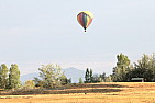 img_1133.jpg