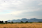 img_1149.jpg