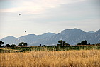 img_1150.jpg
