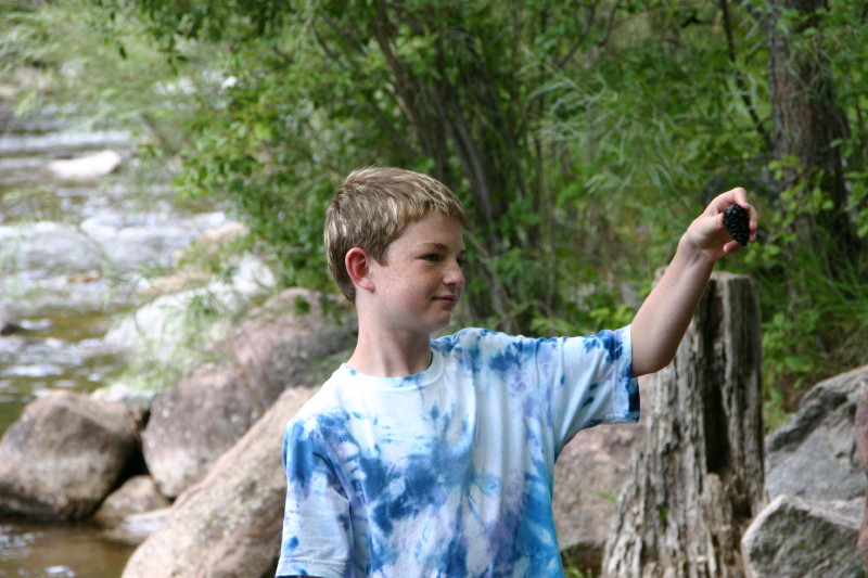 Click on image to go to the next image img_1190.jpg