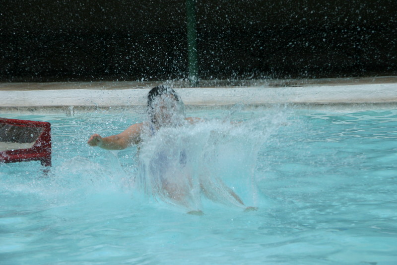 Click on image to go to the next image img_1241.jpg