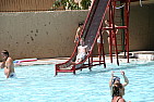 img_1195.jpg