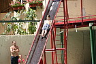 img_1207.jpg