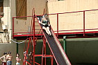 img_1216.jpg