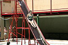 img_1217.jpg