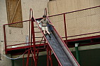 img_1226.jpg
