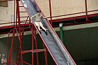 img_1227.jpg