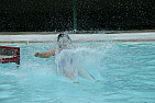 img_1241.jpg