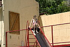 img_1252.jpg