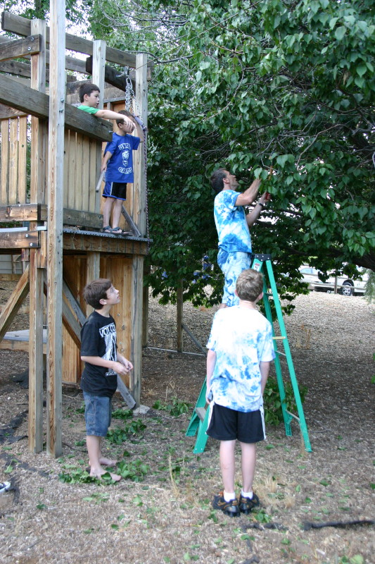 Click on image to go to the next image img_1299.jpg