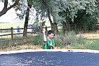 img_1291.jpg