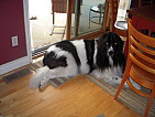 dscn0280.jpg