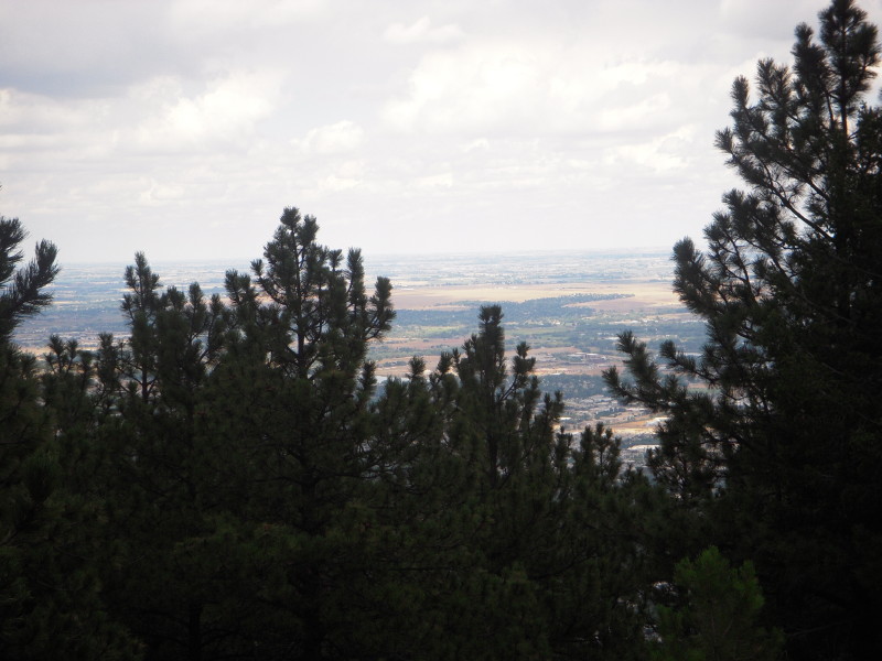 dscn0317.jpg