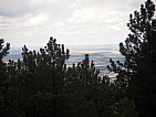 dscn0317.jpg