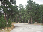 dscn0319.jpg
