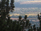 dscn0320.jpg