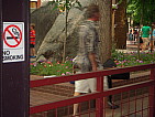 dscn0349.jpg