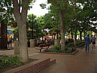 dscn0351.jpg
