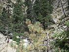 dscn0392.jpg
