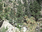 dscn0393.jpg
