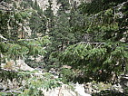 dscn0394.jpg