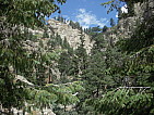 dscn0395.jpg